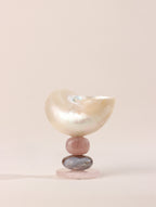 No. 01 Conch Shell Object with Pyramid Crystal Base